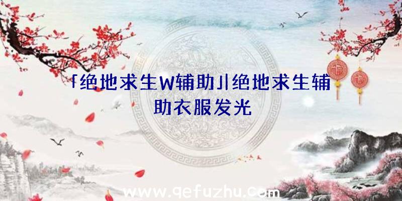 「绝地求生W辅助」|绝地求生辅助衣服发光